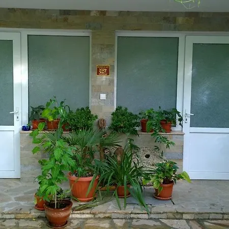House Of Flowers
