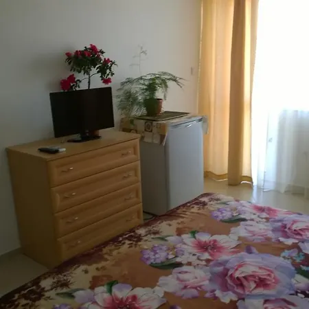 House Of Flowers