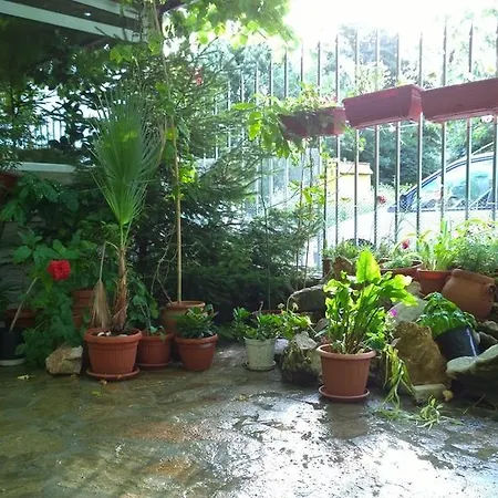 Guest house House Of Flowers