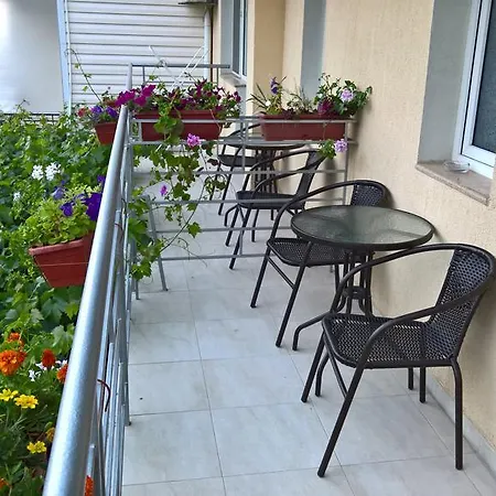Guest house House Of Flowers